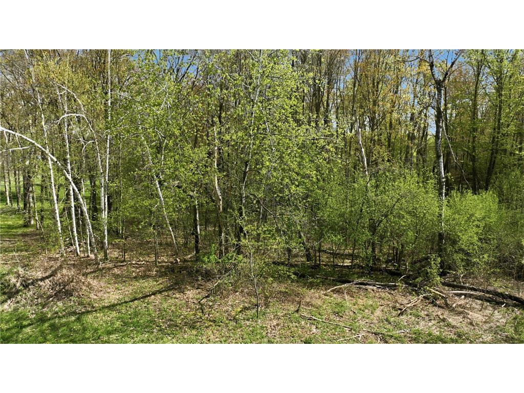 3.49 Acres 10th Avenue Chetek WI 54728 7074979 image15