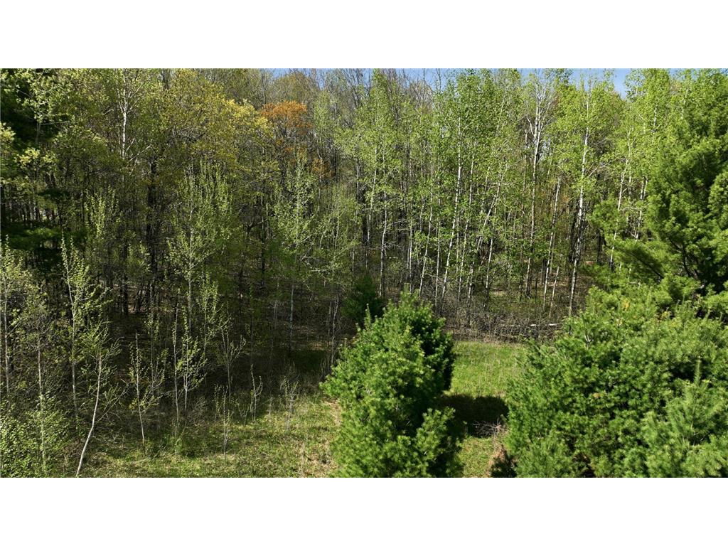3.49 Acres 10th Avenue Chetek WI 54728 7074979 image7