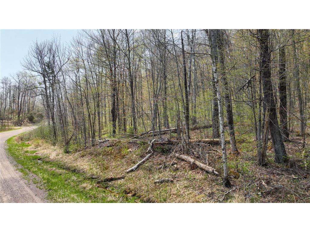 3.91 Acres Gueldner Lane N Meteor Twp WI 54835 6657914 image8