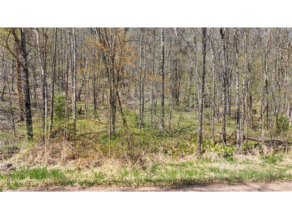 3.91 Acres Gueldner Lane N Meteor Twp WI 54835 6657914 image9