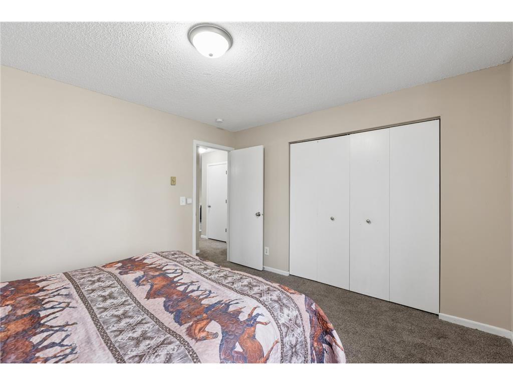 3 Somerset Drive Waconia MN 55387 7040898 image15