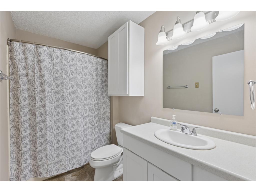 3 Somerset Drive Waconia MN 55387 7040898 image20
