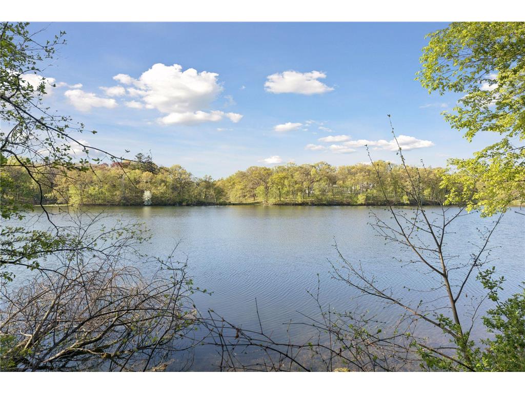 3 Sunfish Lane Sunfish Lake MN 55118 - Sunfish 7066768 image1