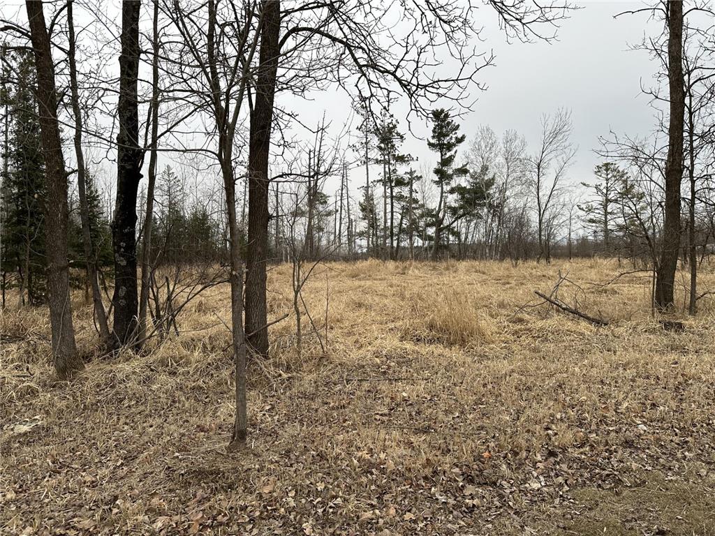 3 acres 7th Street Weyerhaeuser WI 54895 6693348 image1