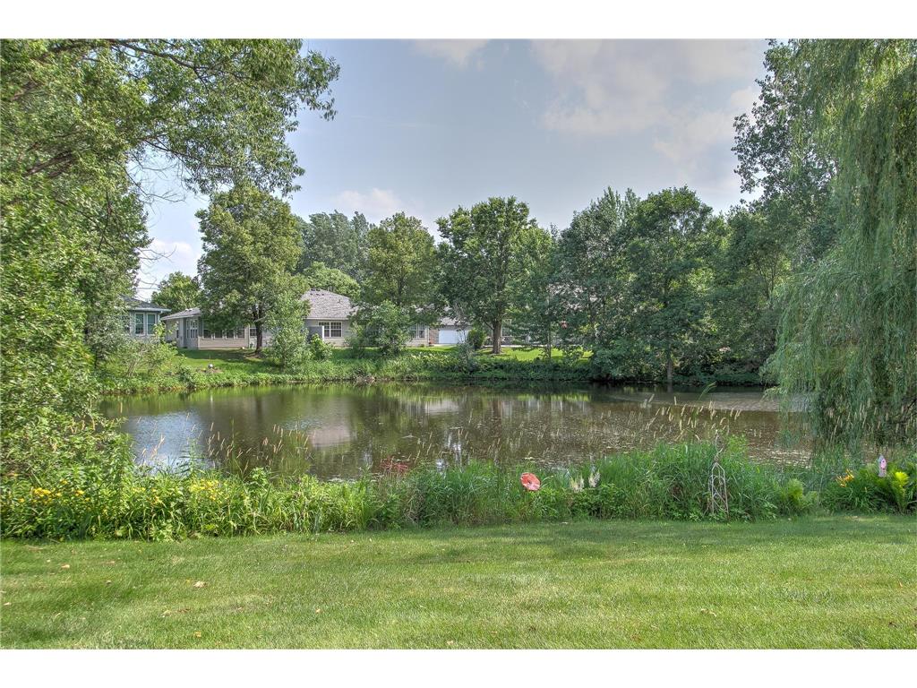 300 101st Court NE Blaine MN 55434 7088965 image43