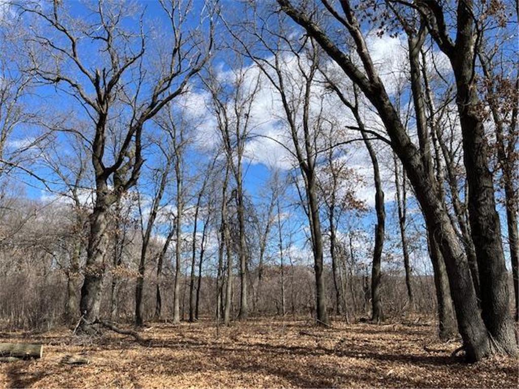 300 241st Lane NE East Bethel MN 55005 6524731 image1