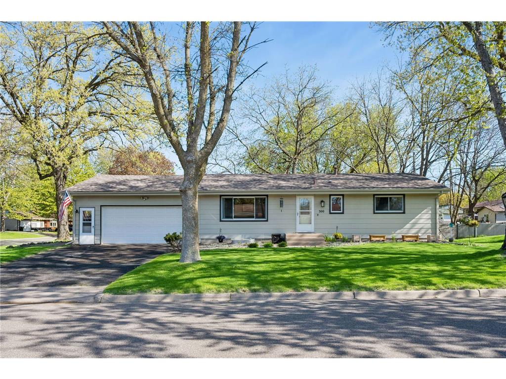 300 Ash Avenue NE Saint Michael MN 55376 7067808 image1