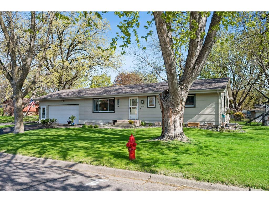 300 Ash Avenue NE Saint Michael MN 55376 7067808 image2