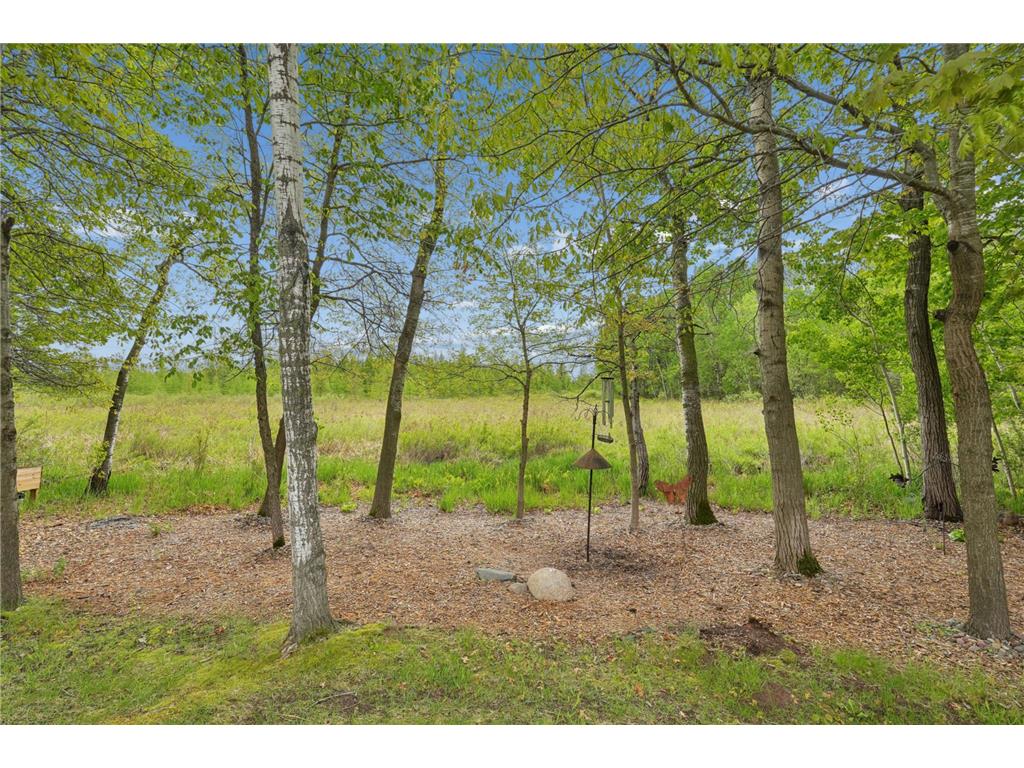 300 Deer Path #5 Osceola WI 54020 7073430 image30