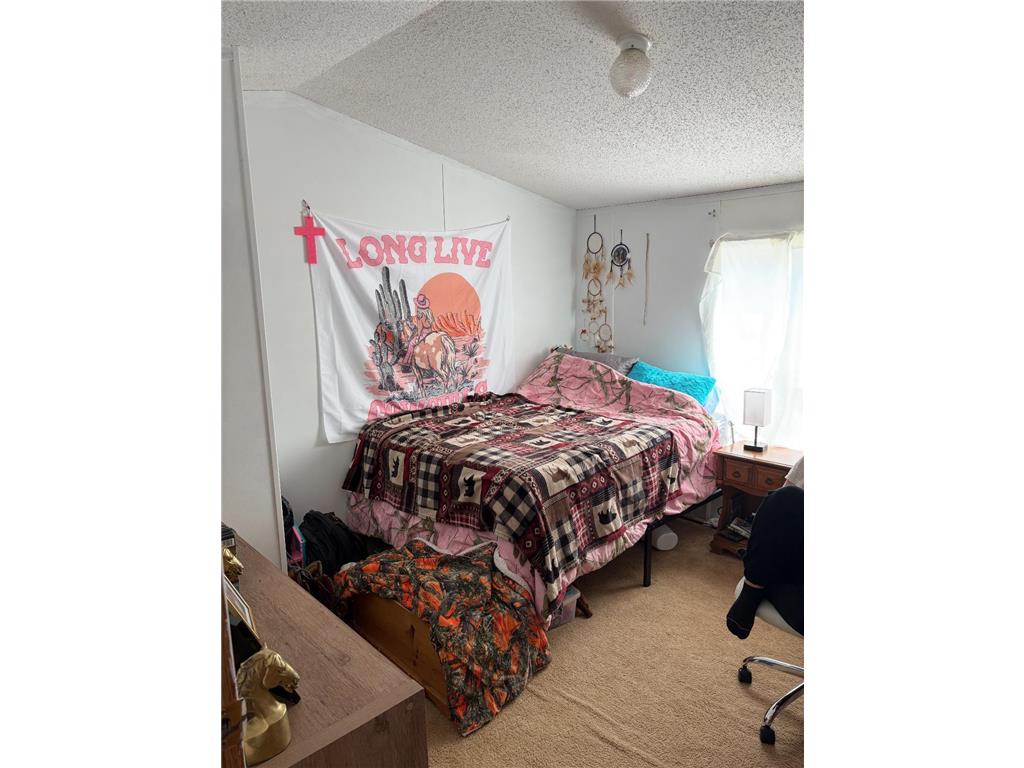 300 Main Street E #1 Bertha MN 56437 6783441 image4