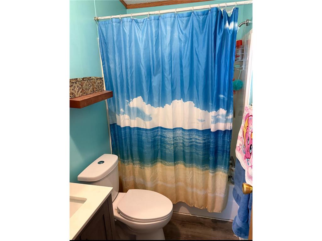 300 Main Street E #1 Bertha MN 56437 6783441 image6