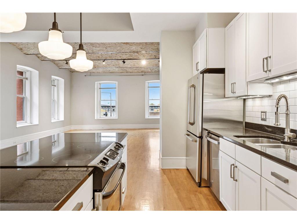 300 Wall Street #203 Saint Paul MN 55101 6812212 image18