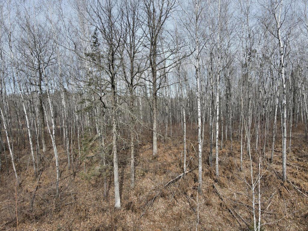 30014 Natureview Lane Grand Rapids MN 55744 7008342 image38