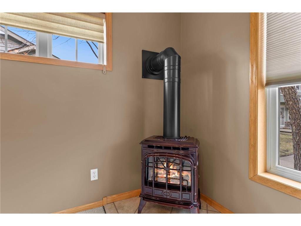 3003 86th Lane N Brooklyn Park MN 55443 7049653 image9