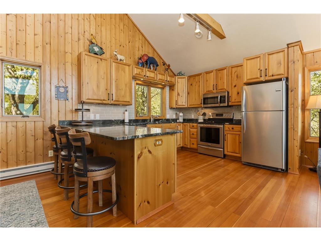 30033 Briorwood Road Paynesville Twp MN 56362 - Koronis 7049065 image17