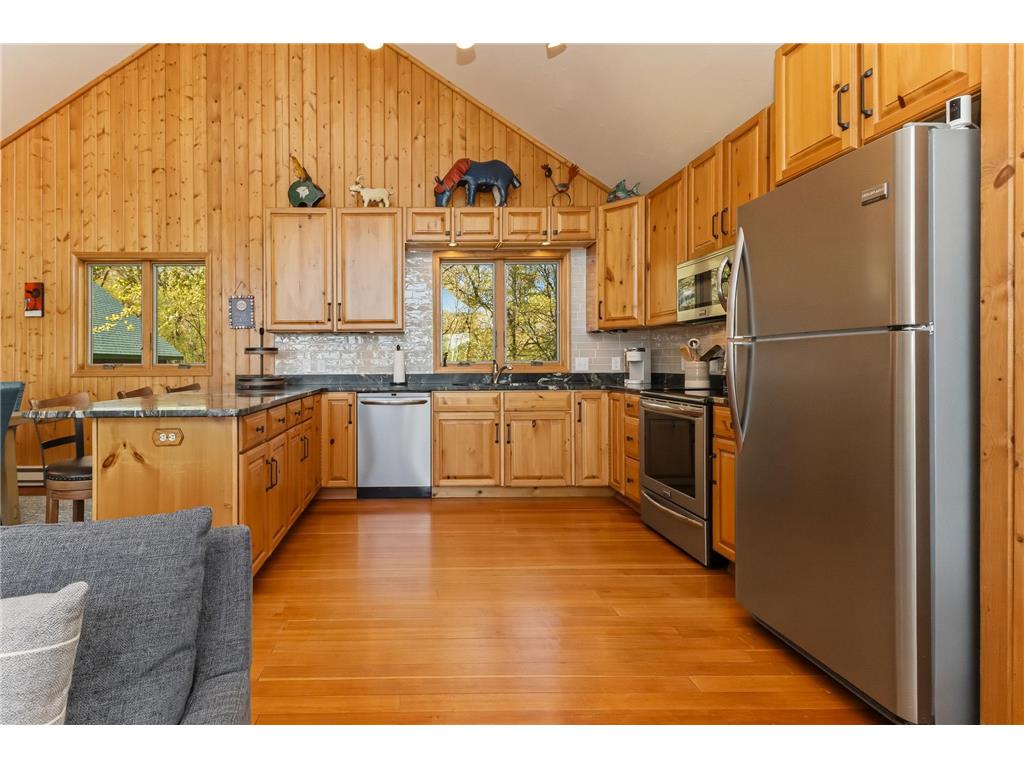 30033 Briorwood Road Paynesville Twp MN 56362 - Koronis 7049065 image18
