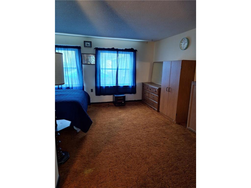 30040 W Haven Road Pelican Lake Twp MN 56309 - Pelican 6678040 image17