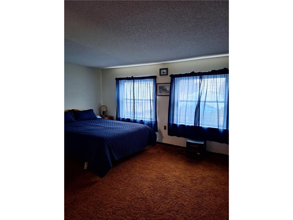 30040 W Haven Road Pelican Lake Twp MN 56309 - Pelican 6678040 image18