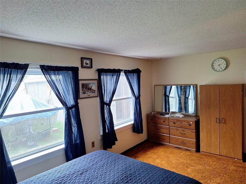 30040 W Haven Road Pelican Lake Twp MN 56309 - Pelican 6678040 image21