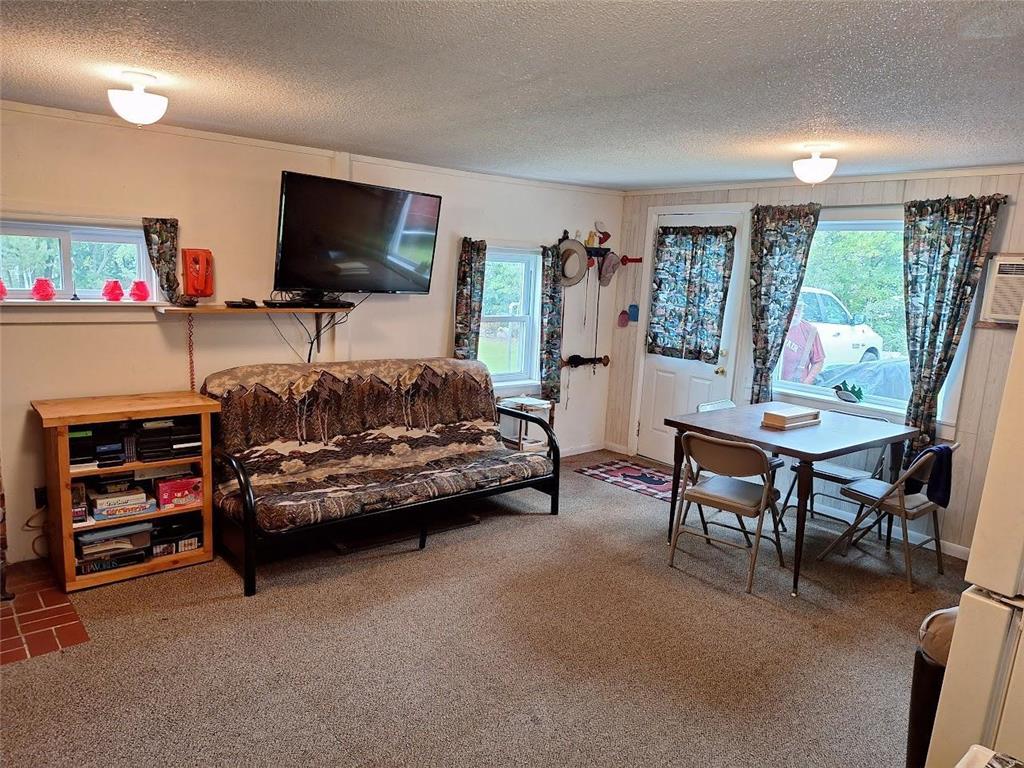 30040 W Haven Road Pelican Lake Twp MN 56309 - Pelican 7052692 image10