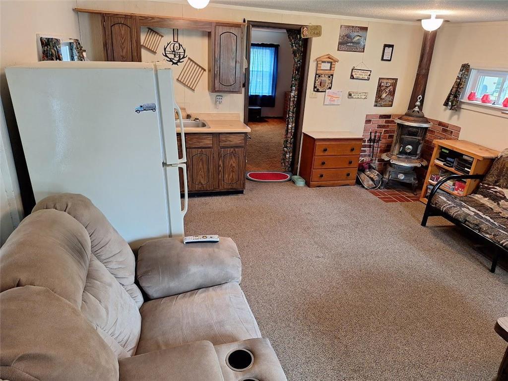 30040 W Haven Road Pelican Lake Twp MN 56309 - Pelican 7052692 image9