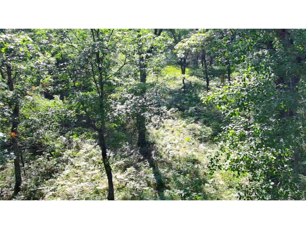 30057 Crystal Lake Drive Webb Lake WI 54830 - Crystal Lake 6784118 image5