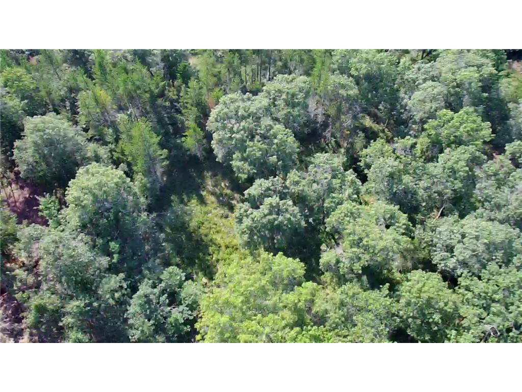 30057 Crystal Lake Drive Webb Lake WI 54893 - Crystal Lake 7084658 image6