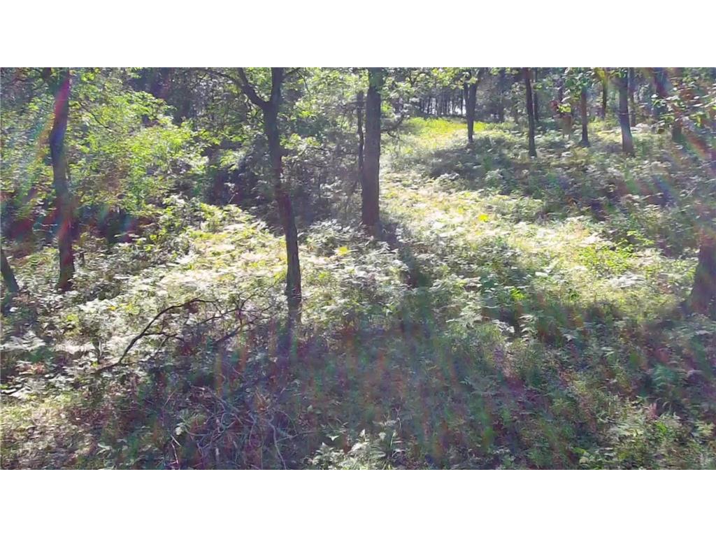 30057 Crystal Lake Drive Webb Lake WI 54893 - Crystal Lake 7084658 image9