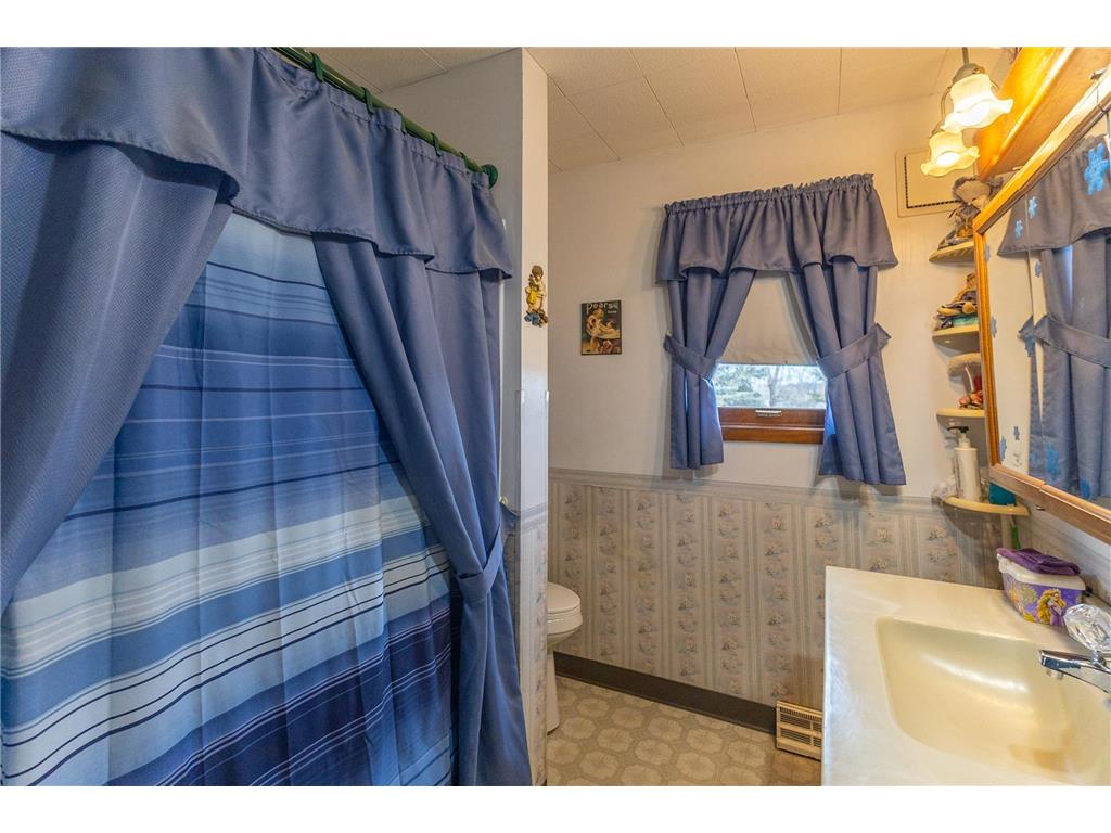 3006 Roosevelt Road SE Bemidji Twp MN 56601 7045889 image18