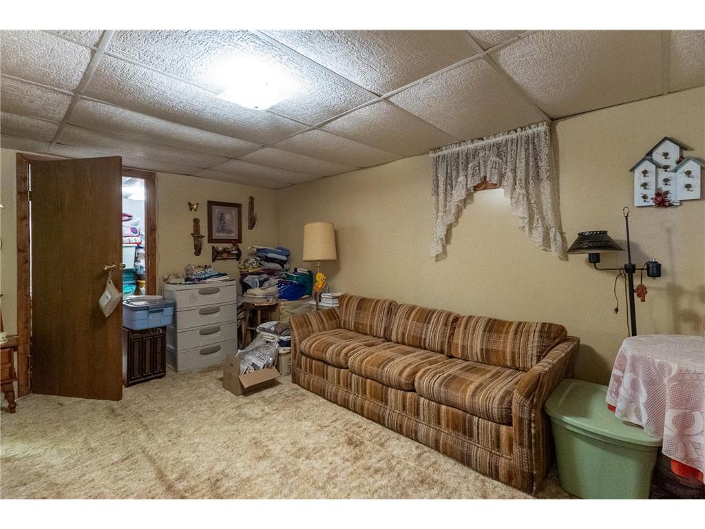 3006 Roosevelt Road SE Bemidji Twp MN 56601 7045889 image24