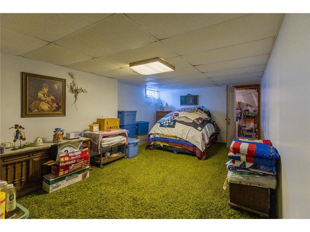 3006 Roosevelt Road SE Bemidji Twp MN 56601 7045889 image25