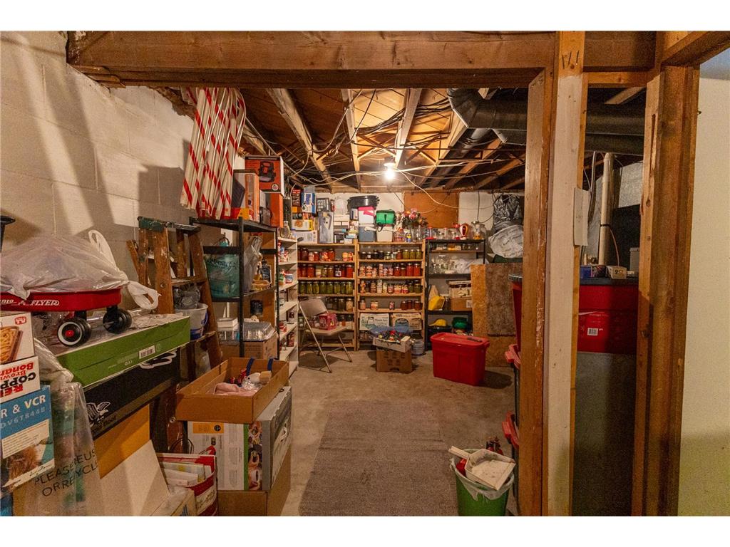 3006 Roosevelt Road SE Bemidji Twp MN 56601 7045889 image27