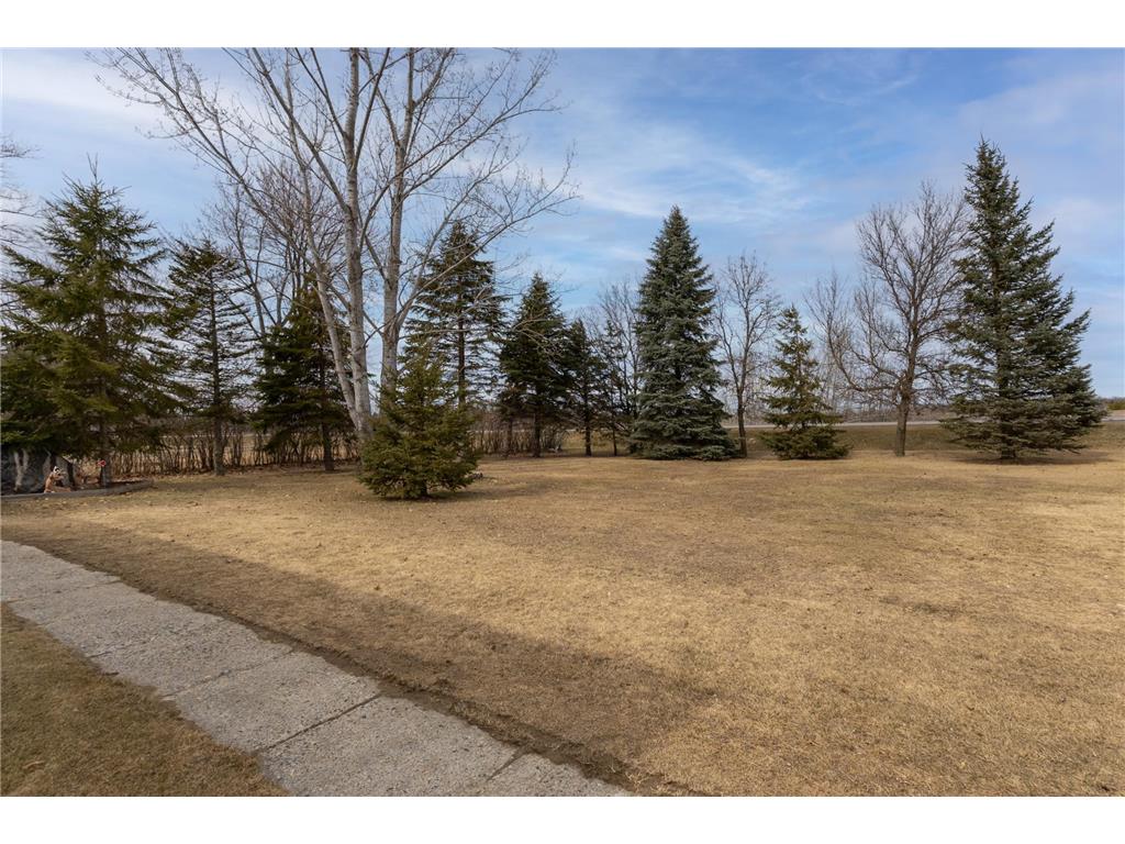 3006 Roosevelt Road SE Bemidji Twp MN 56601 7045889 image46