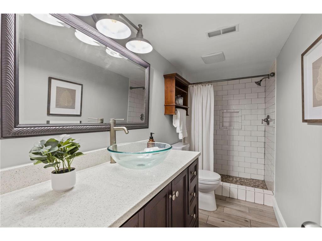 3009 166th Lane NE Ham Lake MN 55304 - Netta 7069572 image20
