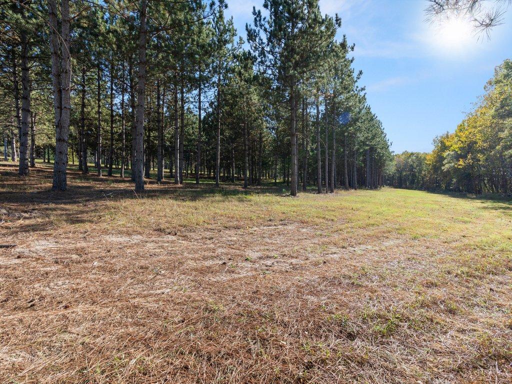 30091 Huntersville Road Orton Twp MN 56477 - Crow Wing River 6800422 image6