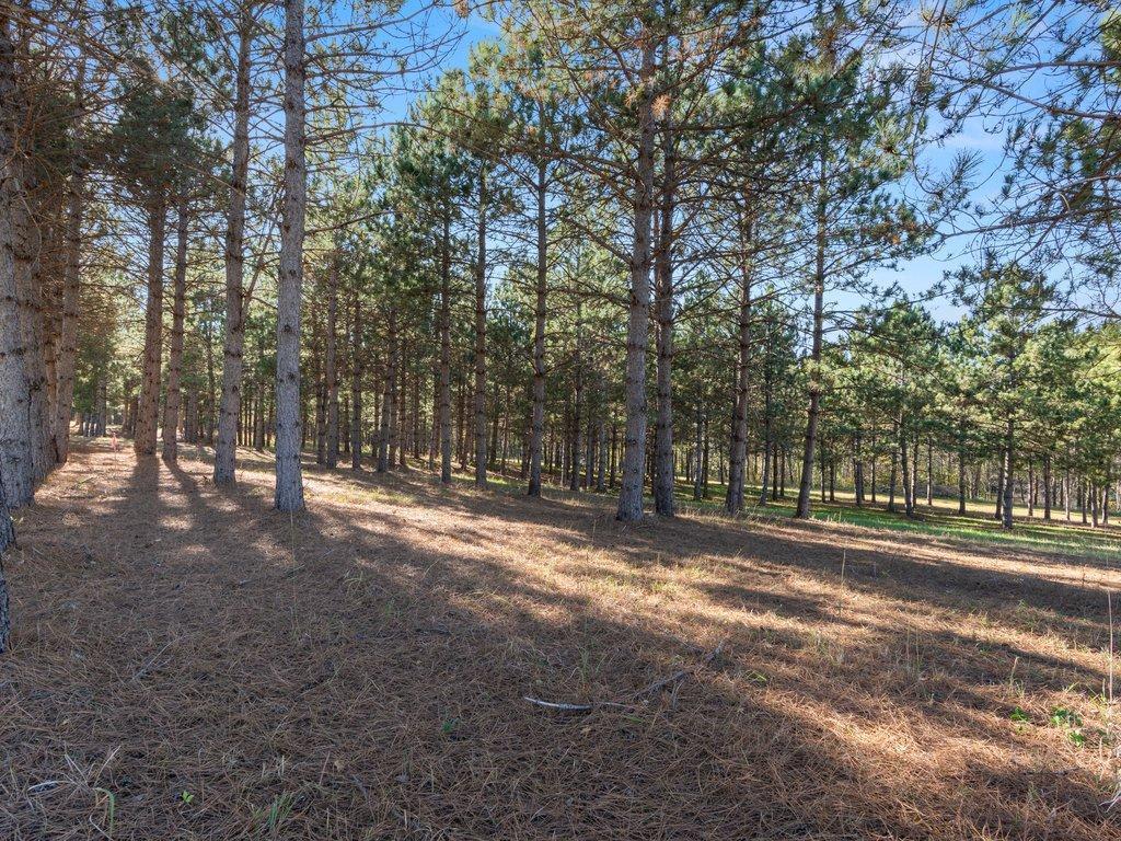 30091 Huntersville Road Orton Twp MN 56477 - Crow Wing River 6800422 image7