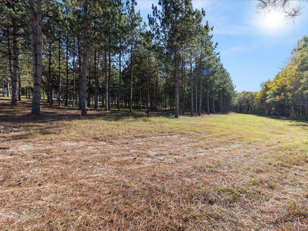 30091 Huntersville Road Nimrod MN 56477 - Crow Wing River 7037256 image12