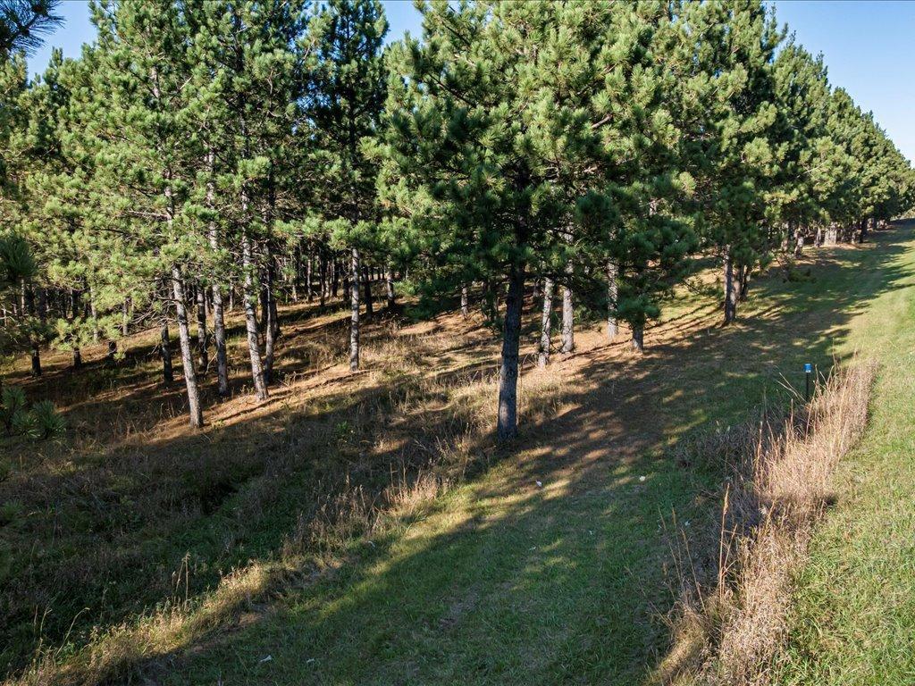 30091 Huntersville Road Nimrod MN 56477 - Crow Wing River 7037256 image15