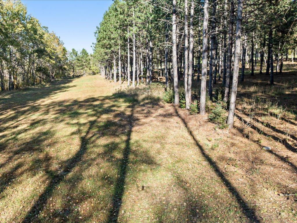 30091 Huntersville Road Nimrod MN 56477 - Crow Wing River 7037256 image4