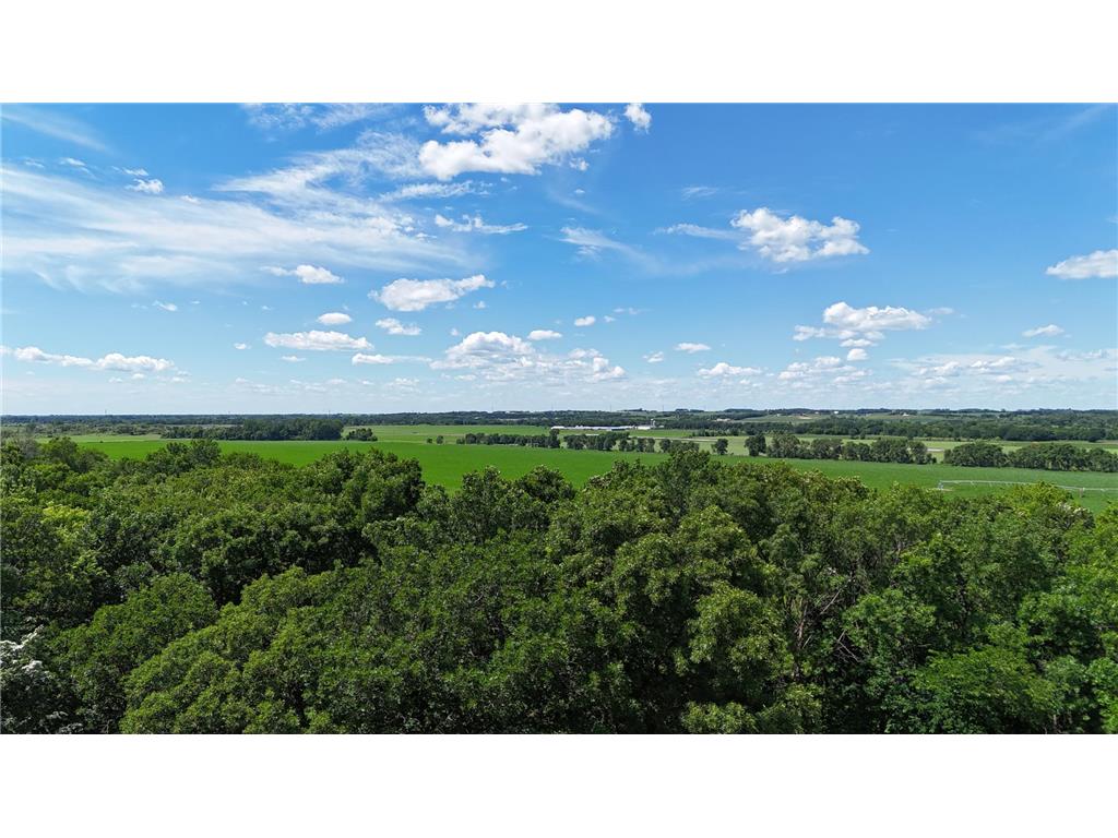 30099 Conita Circle Paynesville Twp MN 56362 7091166 image42