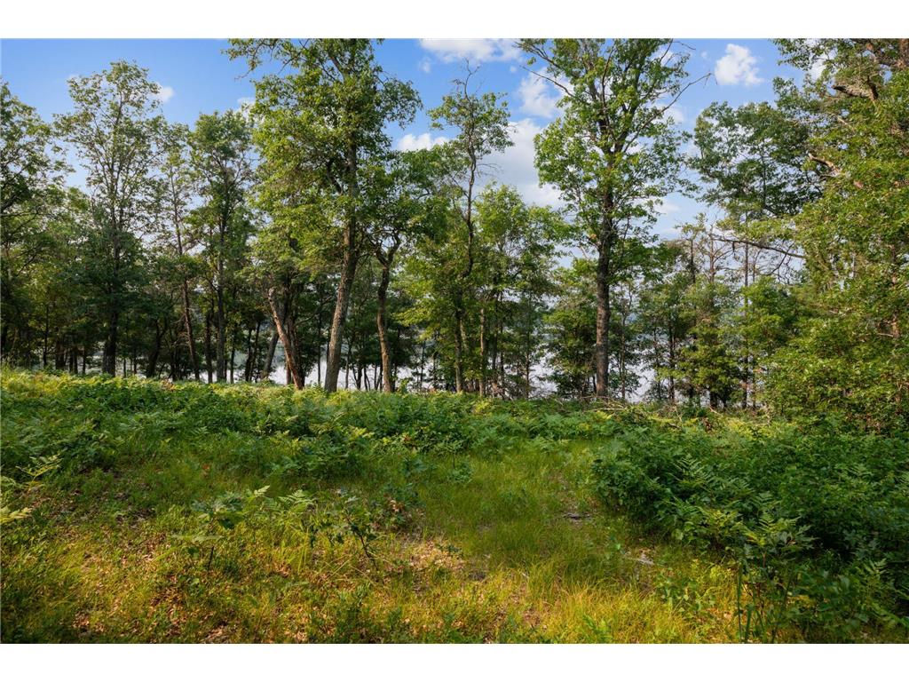 Lot 9 Crystal Lake Drive Webb Lake Twp WI 54830 - Crystal Lake 7057790 image2