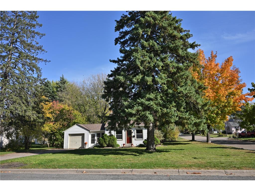 301 19th Avenue N Hopkins MN 55343 6729246 image29