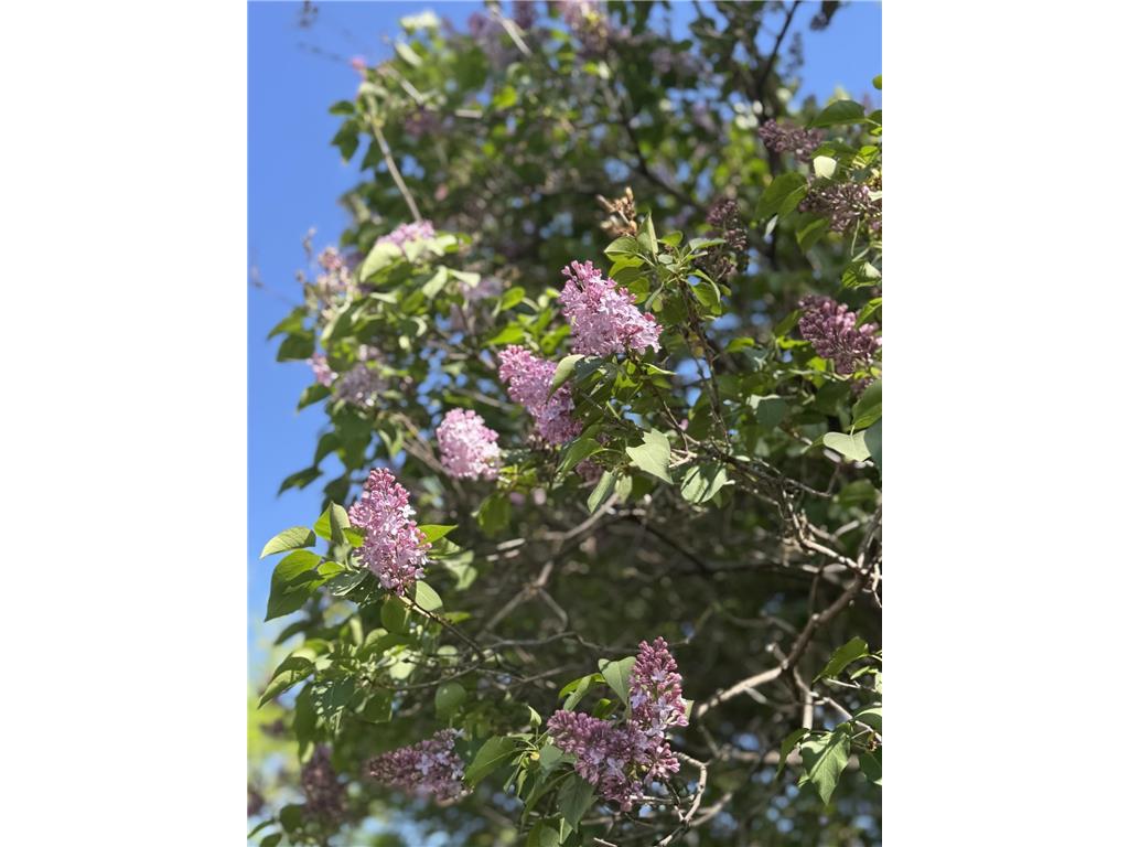 301 19th Avenue N Hopkins MN 55343 6729246 image47