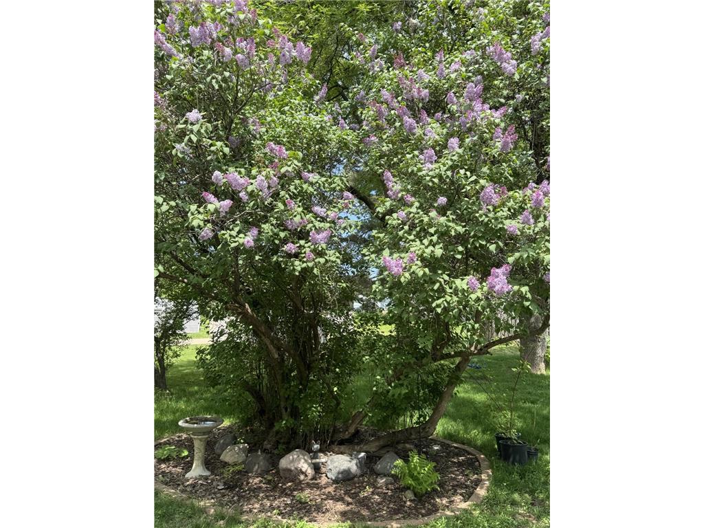 301 19th Avenue N Hopkins MN 55343 6729246 image48