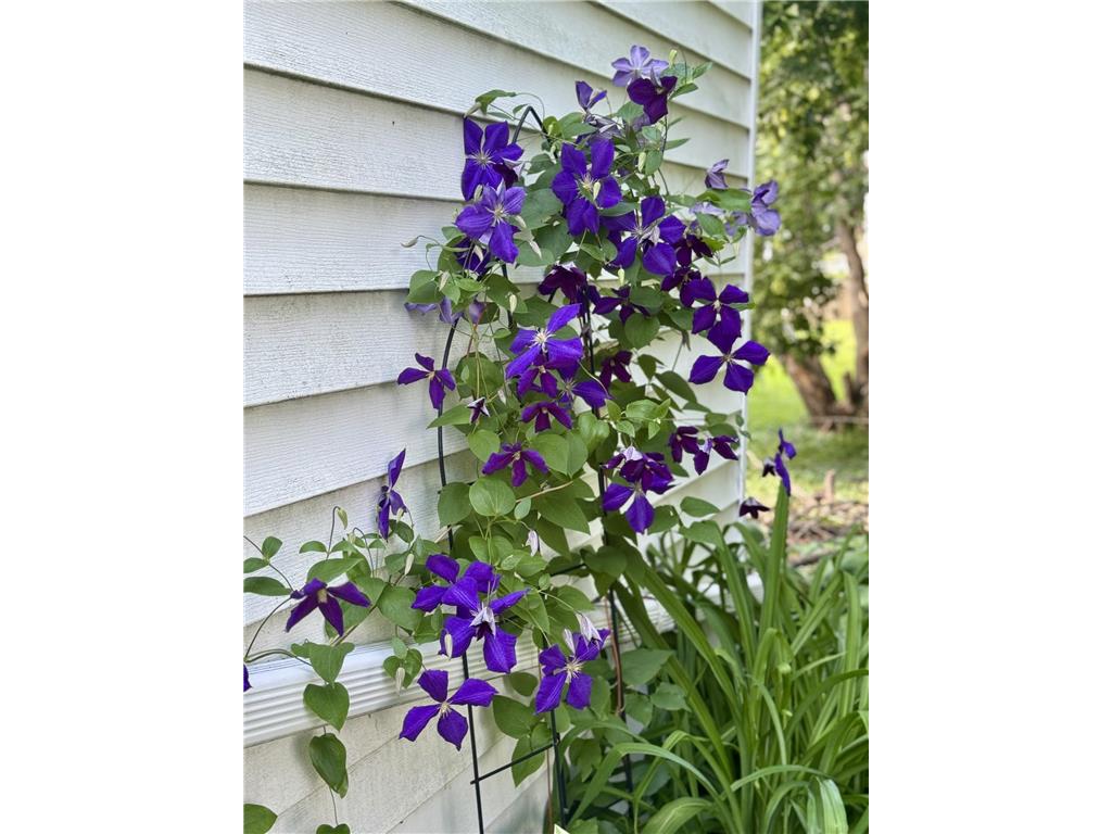 301 19th Avenue N Hopkins MN 55343 6729246 image50