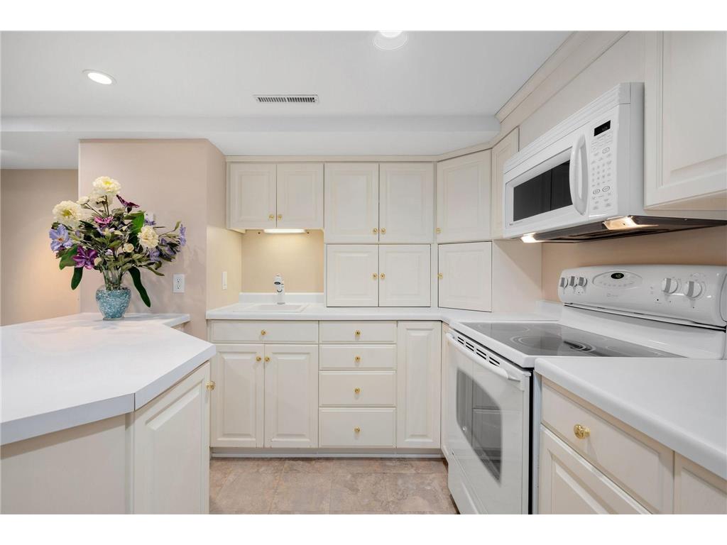 301 22nd Street NW Austin MN 55912 - Turtle Creek 7075579 image46