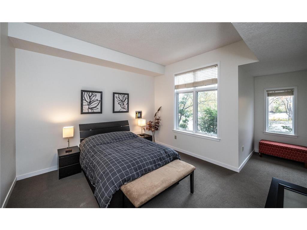 301 7th Street W #2103 Northfield MN 55057 - Cannon River 6800013 image23