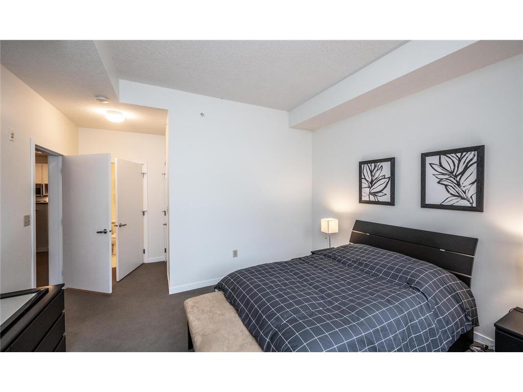 301 7th Street W #2103 Northfield MN 55057 - Cannon River 6800013 image25