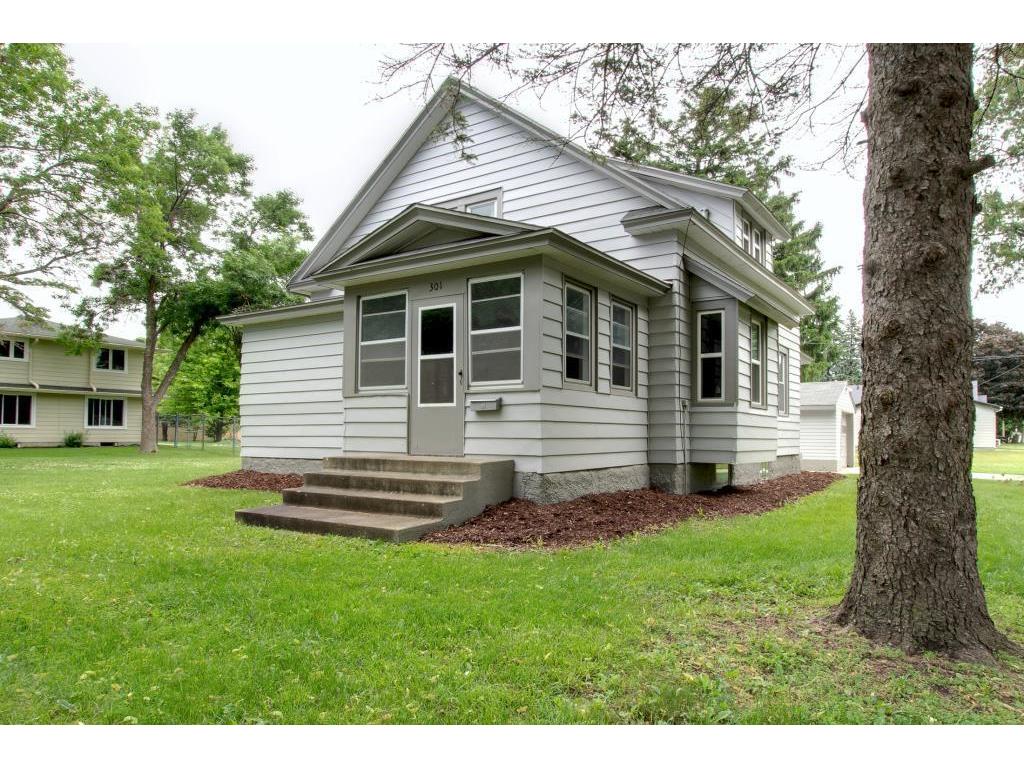 301 N Park Avenue, Le Center, MN 56057 MLS 5573006 Edina Realty