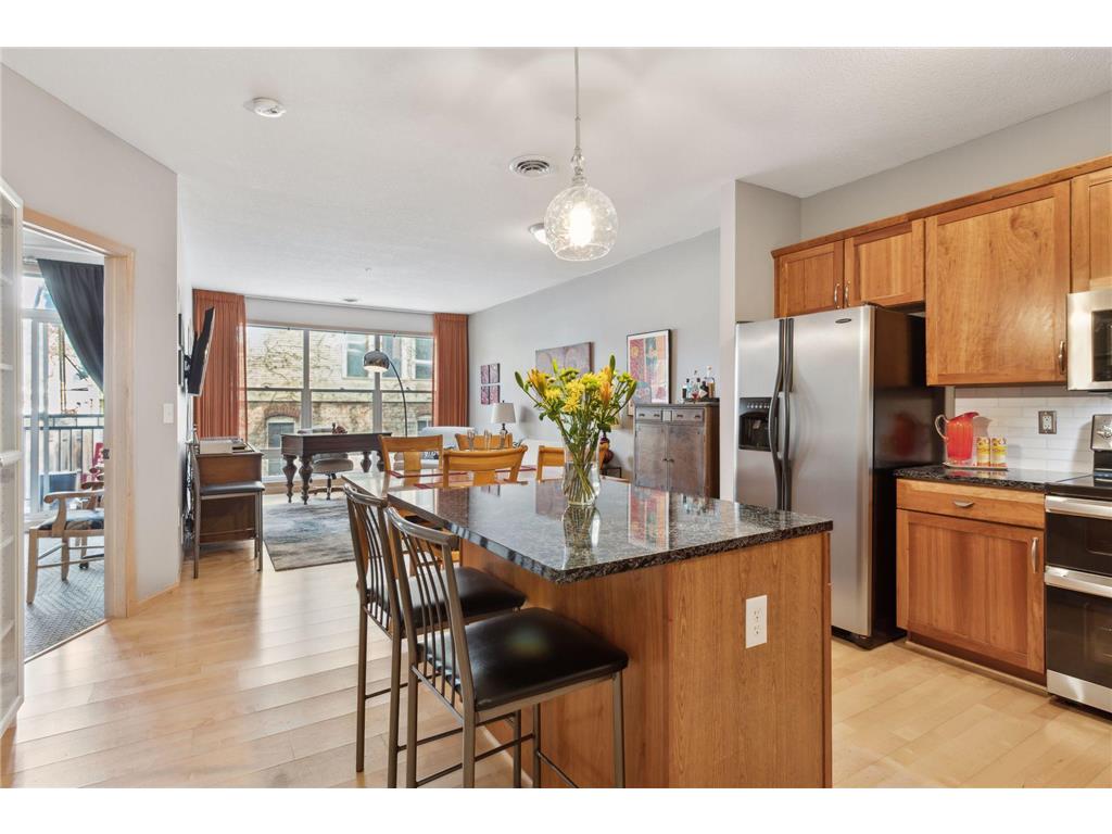301 Oak Grove Street #206 Minneapolis MN 55403 6654621 image1
